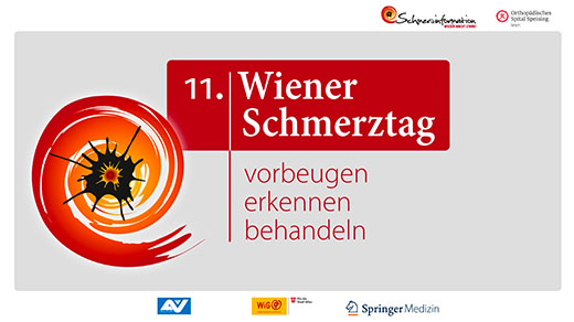 Springer. Wiener Schmerztag